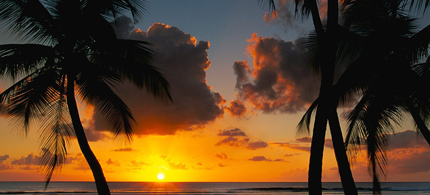 ddos在线攻击平台